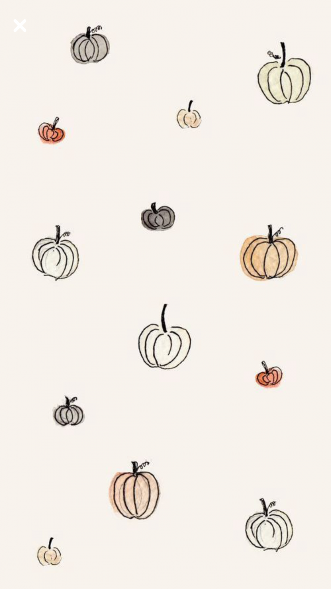 Mini pumpkin wallpaper  Idea Wallpapers  iPhone WallpapersColor Schemes