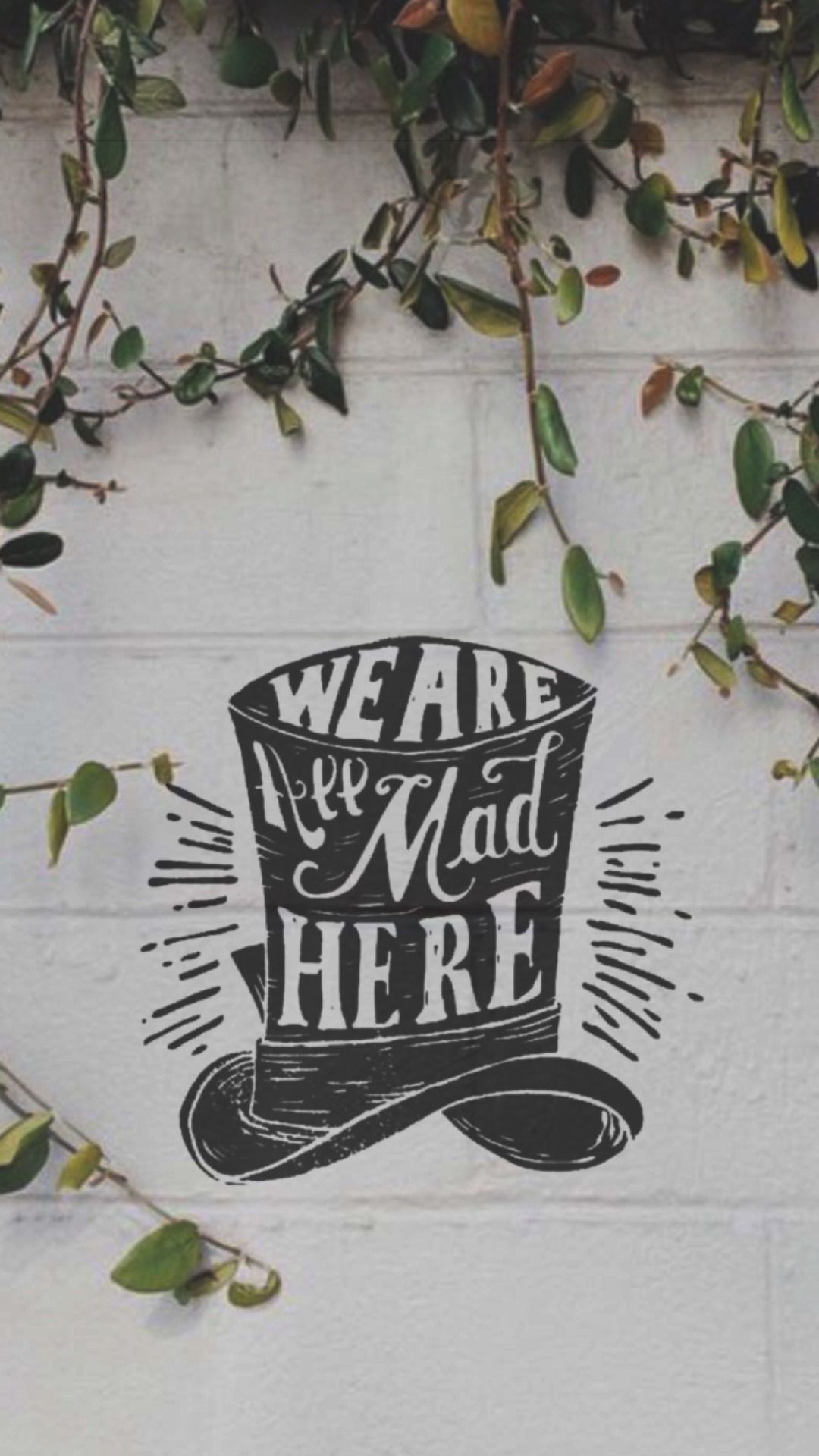 Were all mad here HD wallpapers  Pxfuel