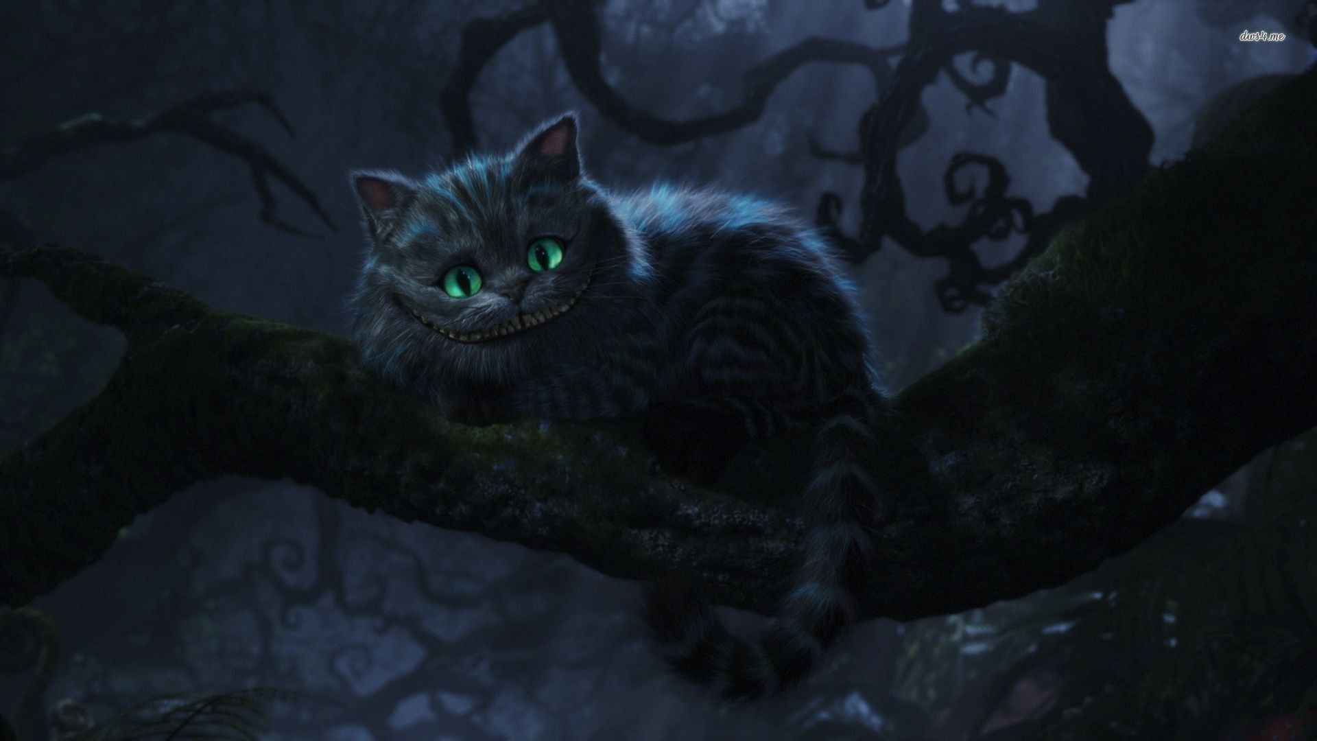 cheshire cat wallpaper we're all mad here in wonderland cartoon, Cheshire cat alice in wonderland, Cheshire cat tim burton