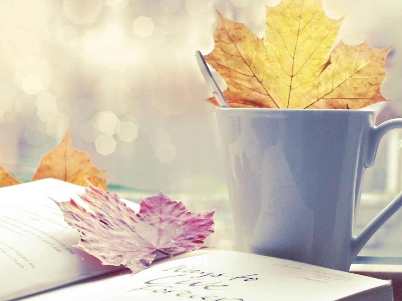 Read a wonderful book and drink a cup of hot tea in Autumn