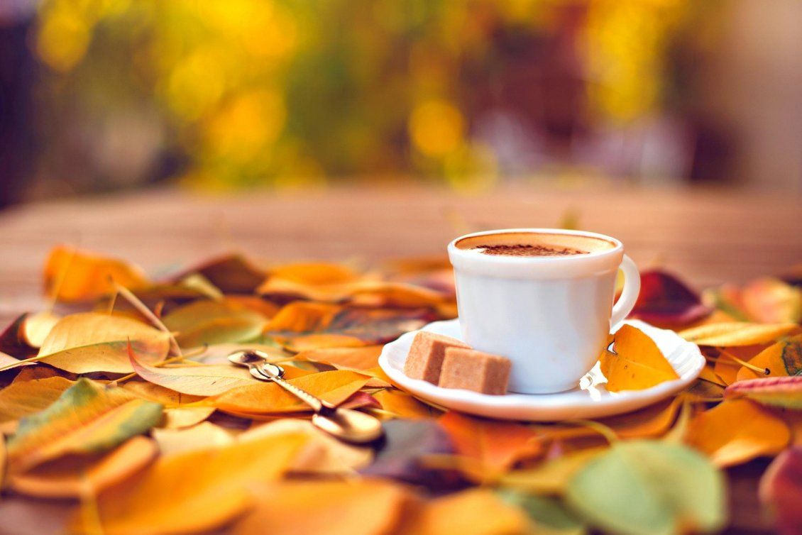 Zendha: Autumn Desktop Wallpaper Coffee