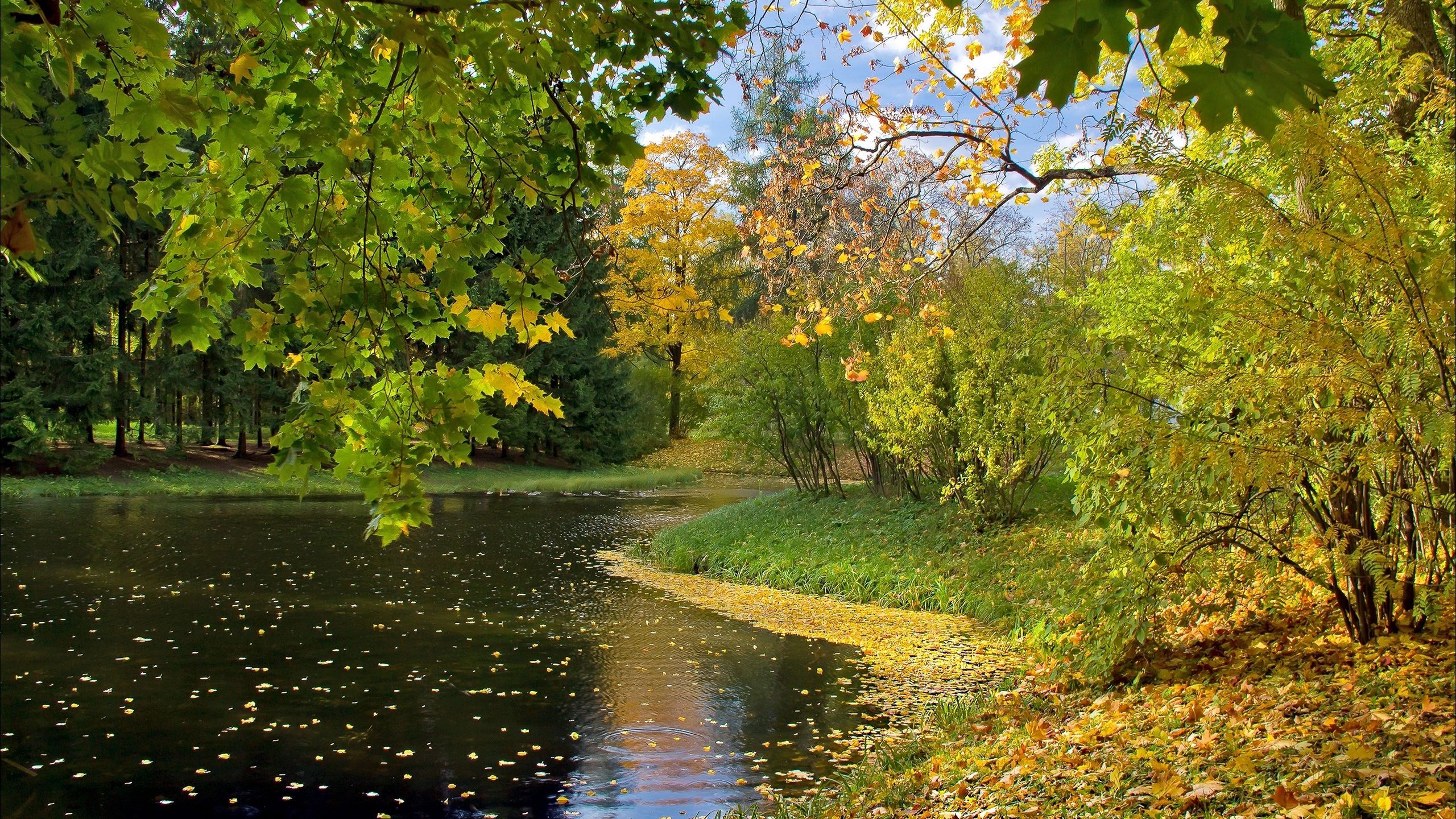 Download wallpaper 2560x1440 lake, autumn, leaves widescreen 16:9 HD background