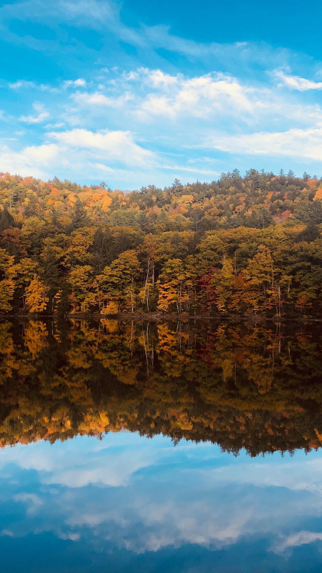 Fall, autumn, lake, trees, reflections, nature wallpaper