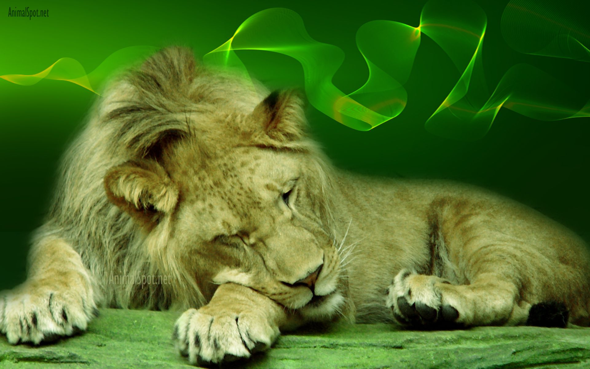 Green lion Wallpapers Download | MobCup
