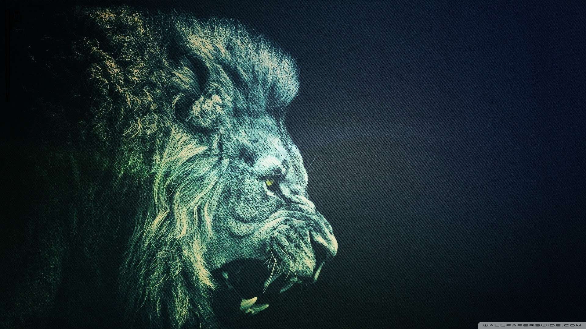 Lion Wallpaper HD 1080P