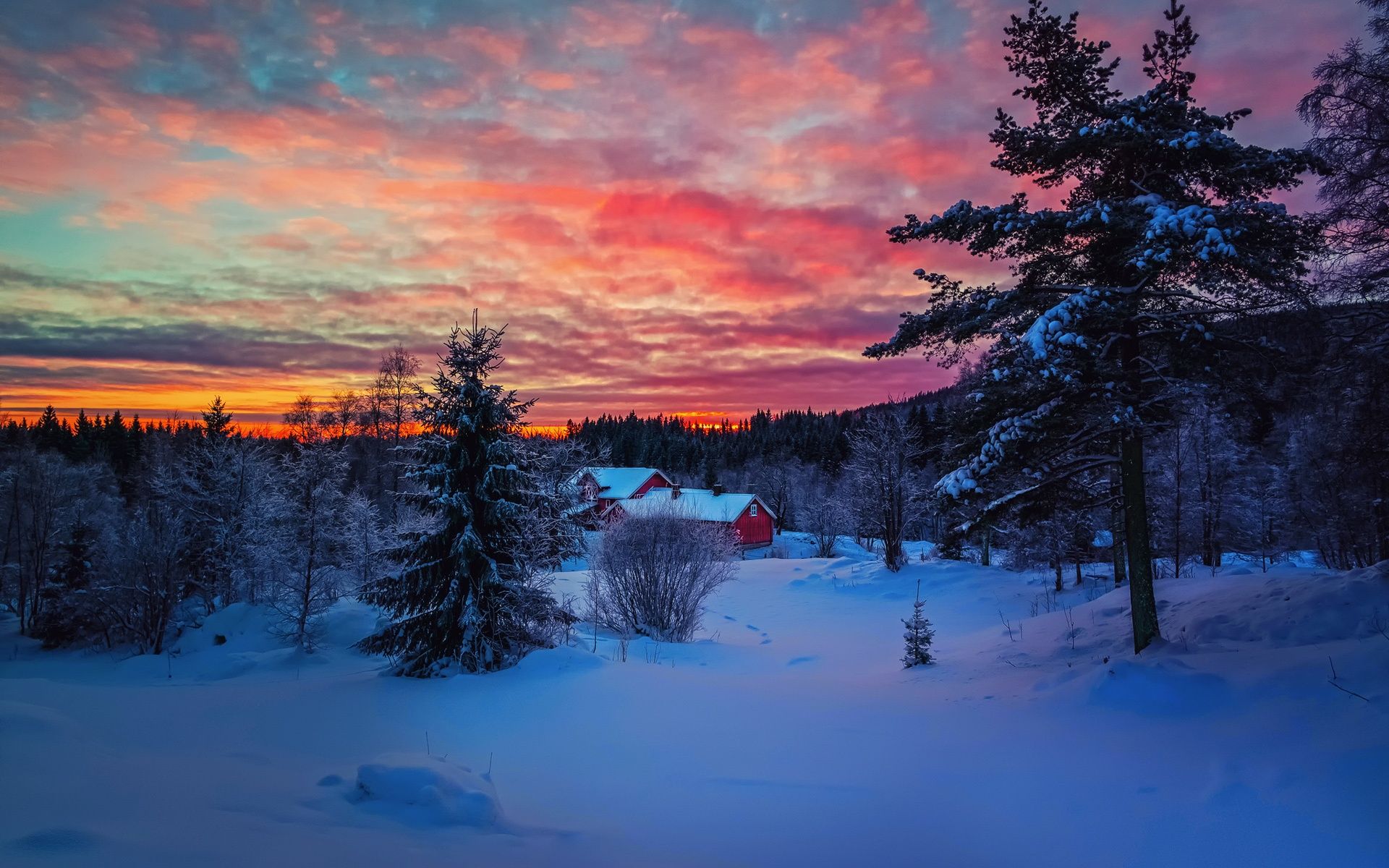 Wallpaper Winter evening sunset, sky, clouds, snow, forest, house 1920x1200 HD Picture, Image
