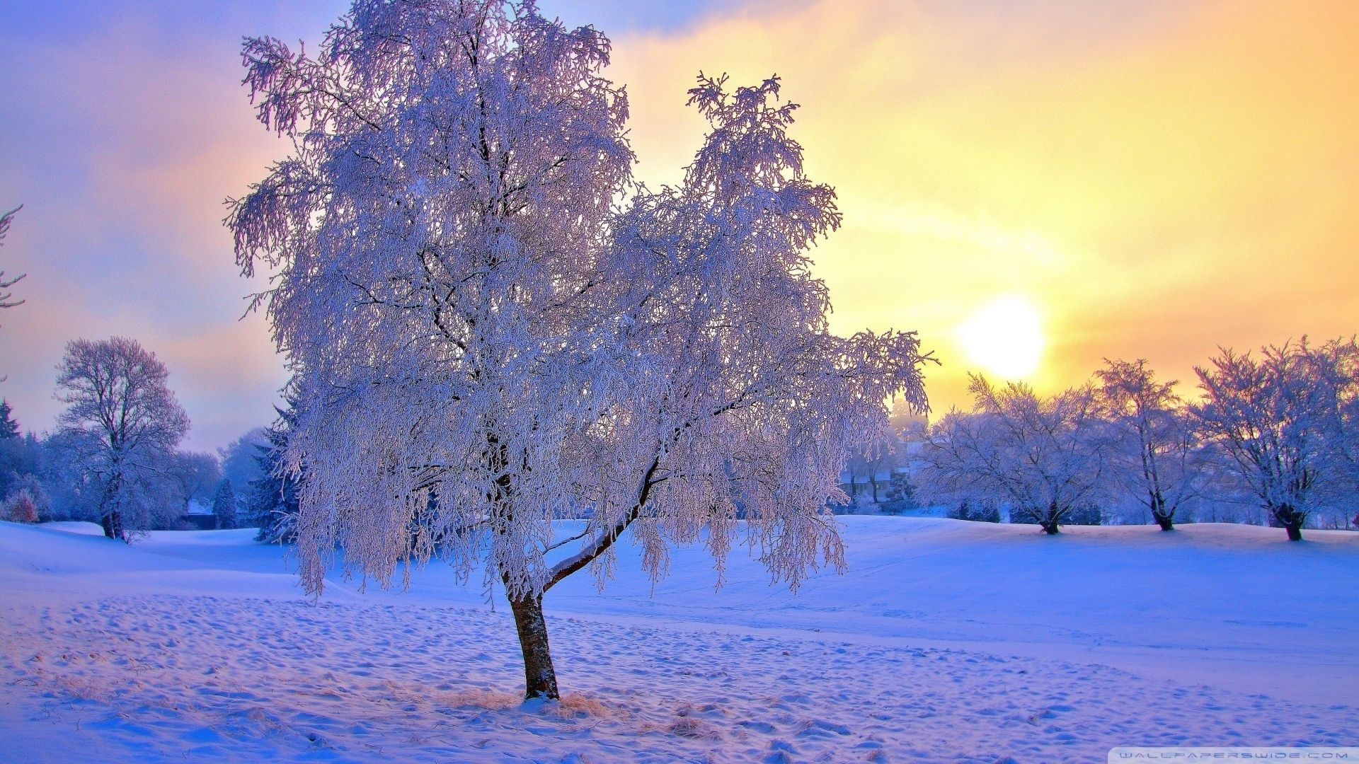 Because winter somehow marks the start of the holiday season, beautiful winter wallpaper and amazing winter sc. Winter wallpaper, Winter sunset, Winter landscape