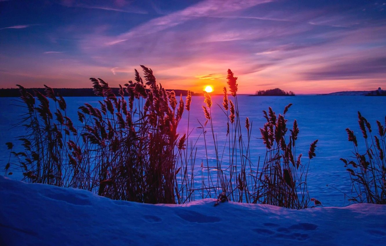 Wallpaper winter, snow, treatment, Frosty sunset image for desktop, section природа
