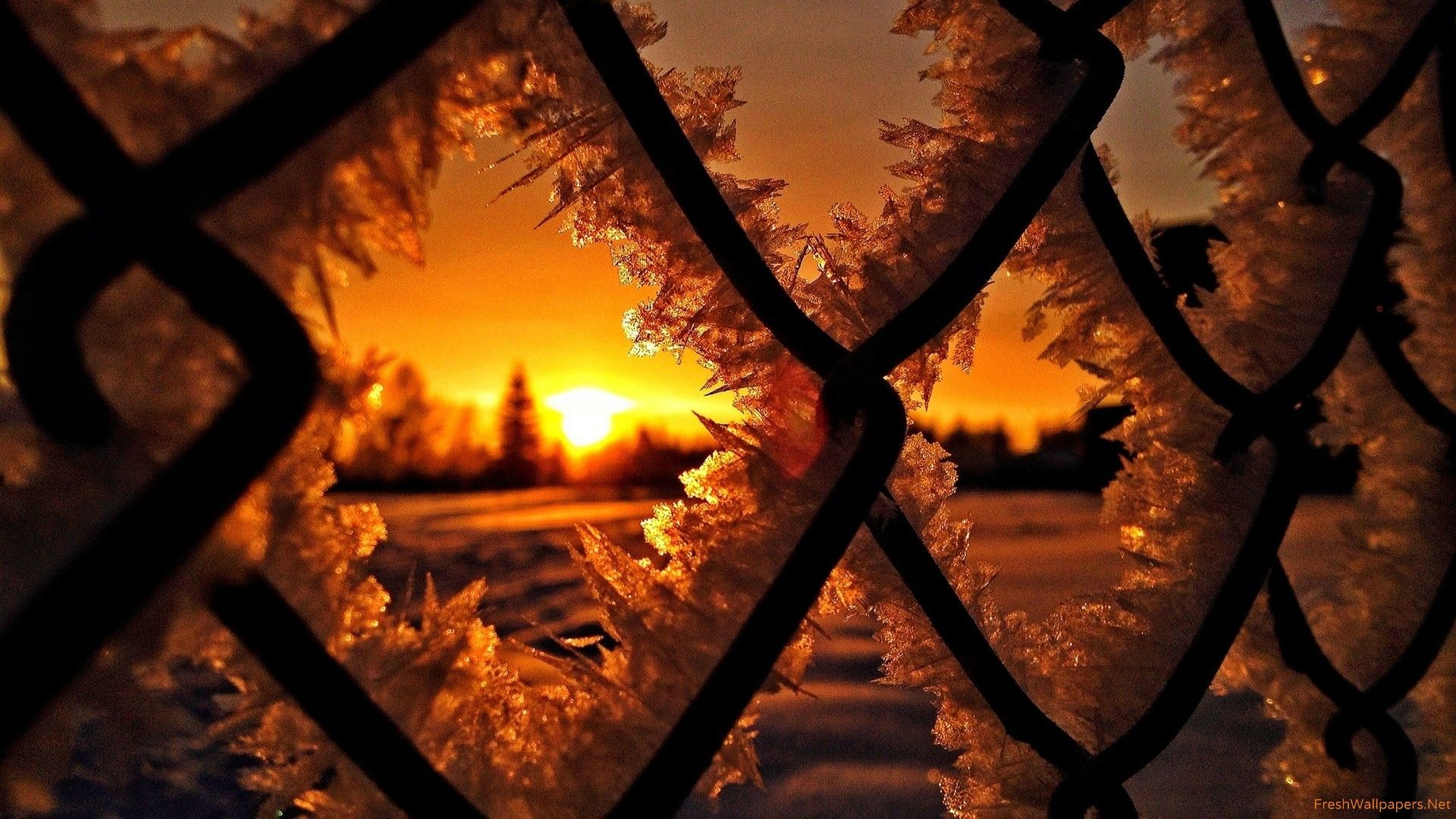 Free Winter Sunset Wallpaper Photo at Landscape Monodomo