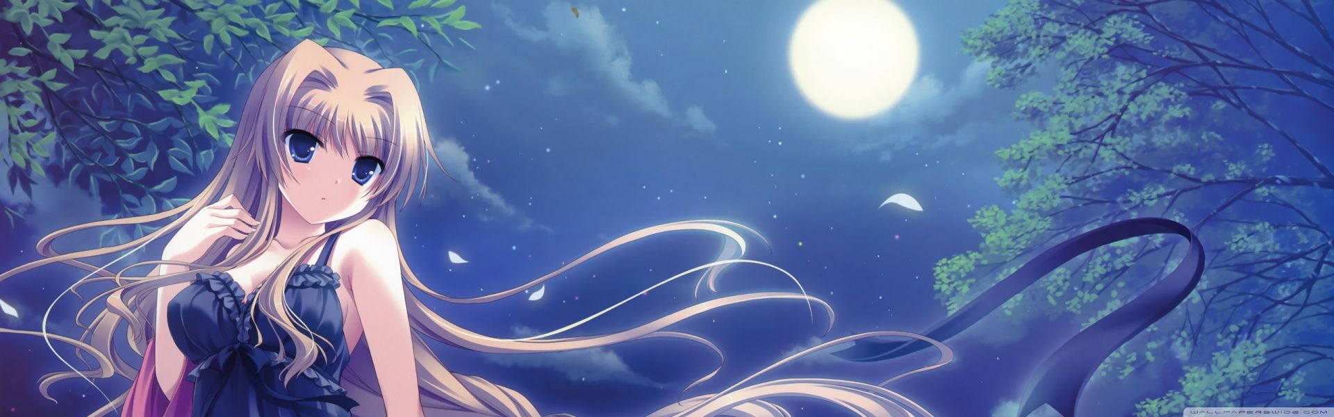 Anime Girl Ultra HD Desktop Background Wallpaper for 4K UHD TV, Multi Display, Dual Monitor, Tablet