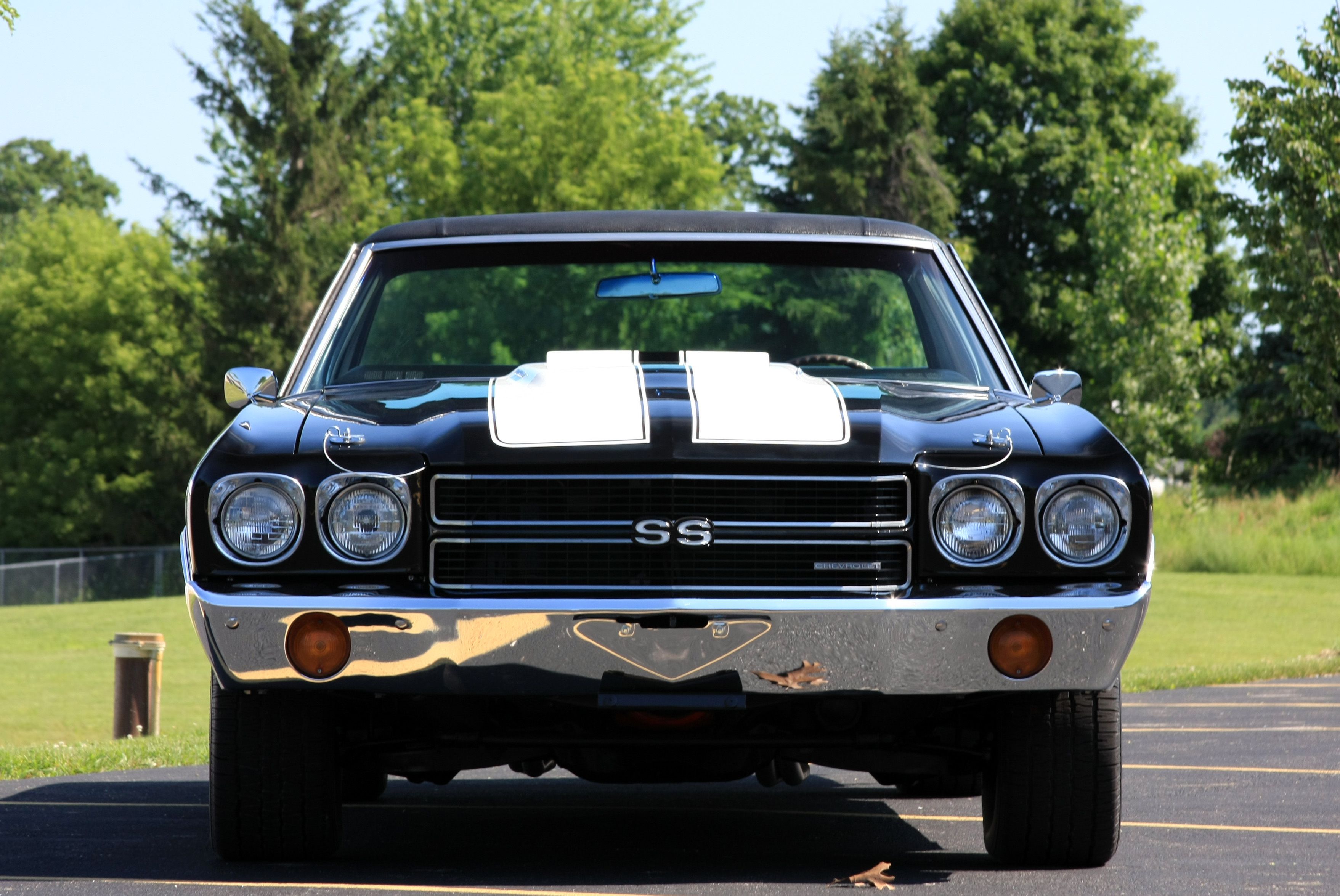 El Camino Wallpaper