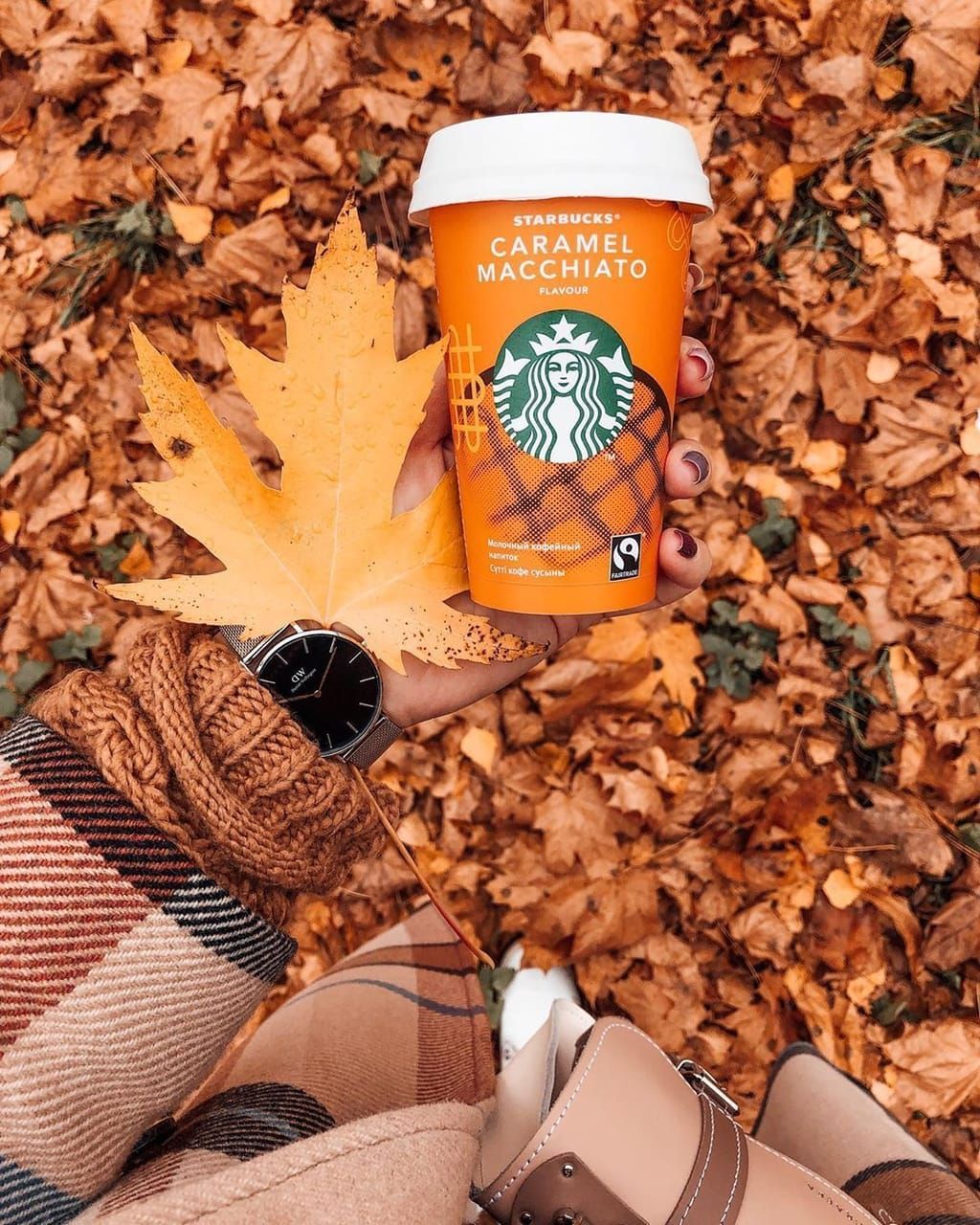 Autumn Starbucks Drink Wallpapers Wallpaper Cave