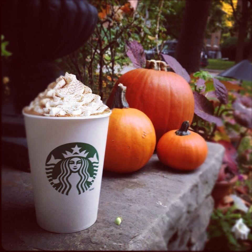 itsalessia on tumblr. Starbucks pumpkin spice latte, Pumpkin spice latte, Autumn coffee