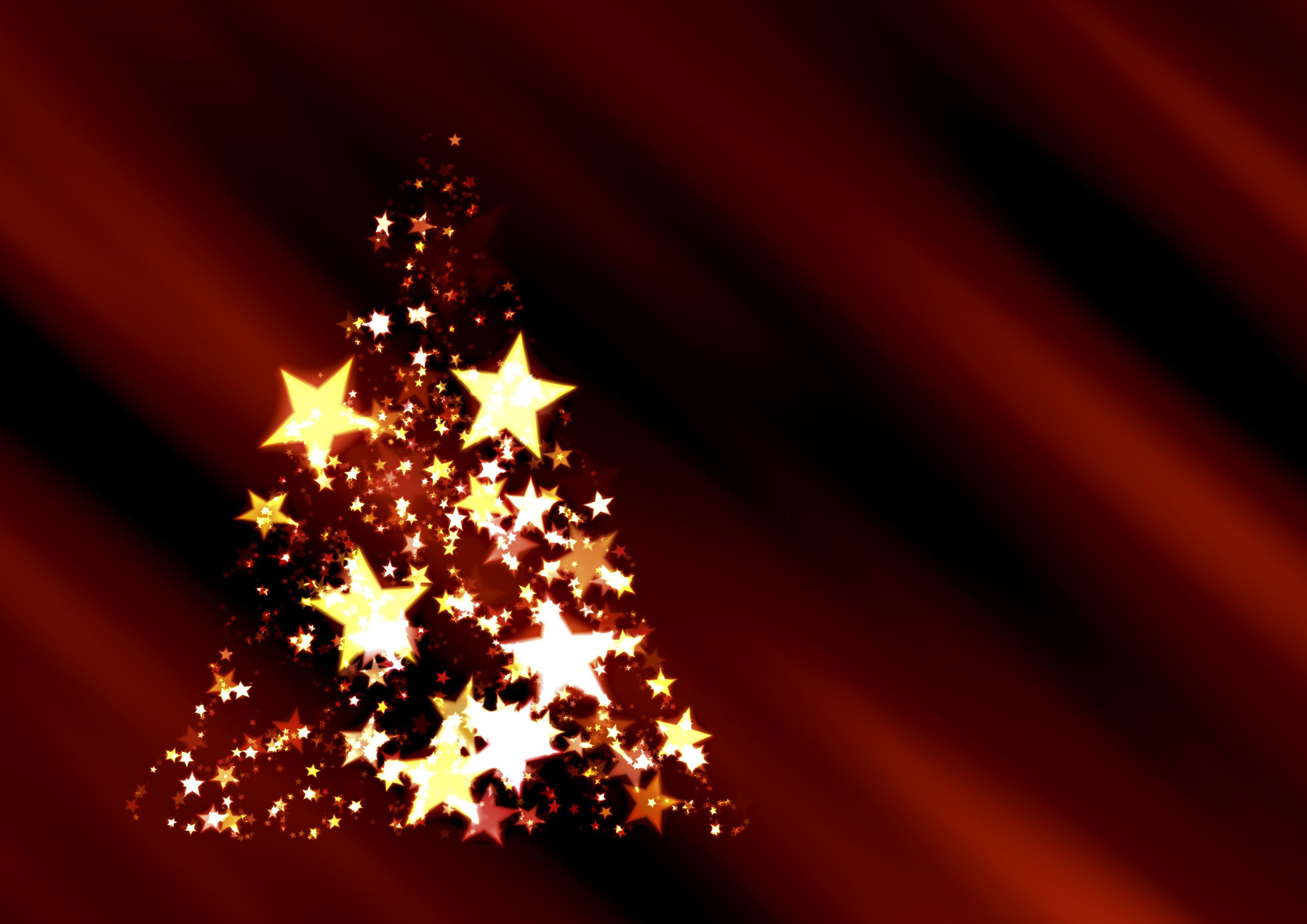 Christmas Tree Related Wallpaper, Background Image and Photo