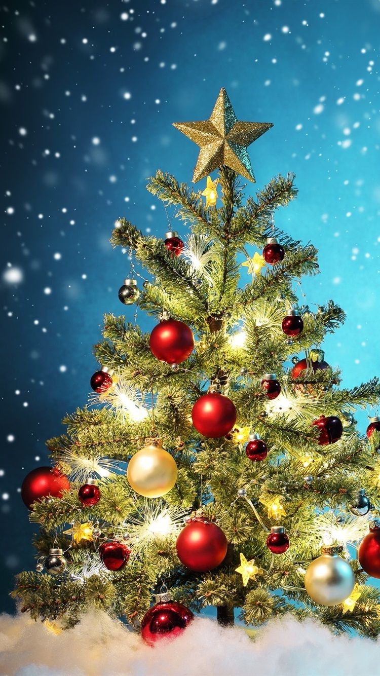 Wallpaper Christmas tree, colorful balls, snow, winter, beautiful 2560x1600 HD Picture, Image