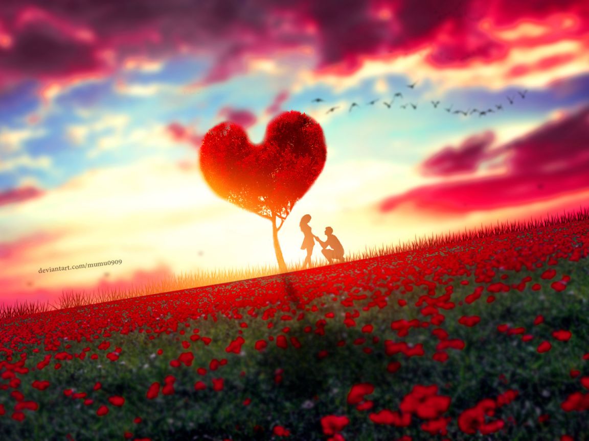 Download 1152x864 wallpaper couple, romantic moment, rose farm, tree, sunset, standard 4: fullscreen, 1152x864 HD image, background, 19410