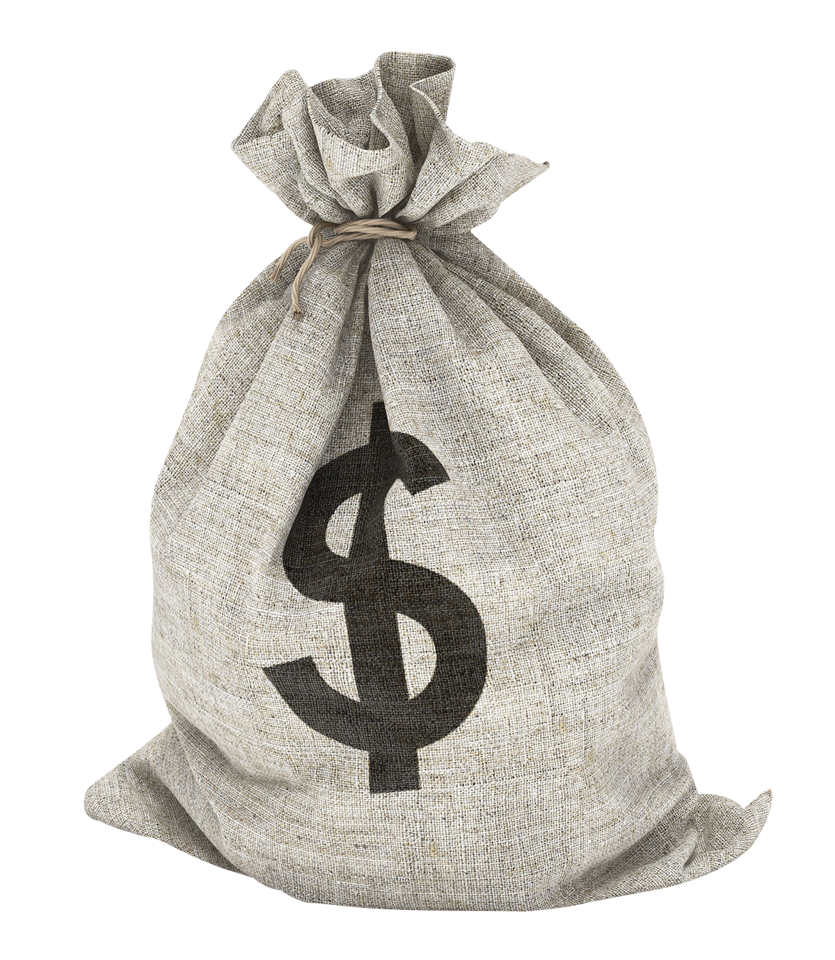 Money Bag PNG Image. Money bag, Dollar money, Money design