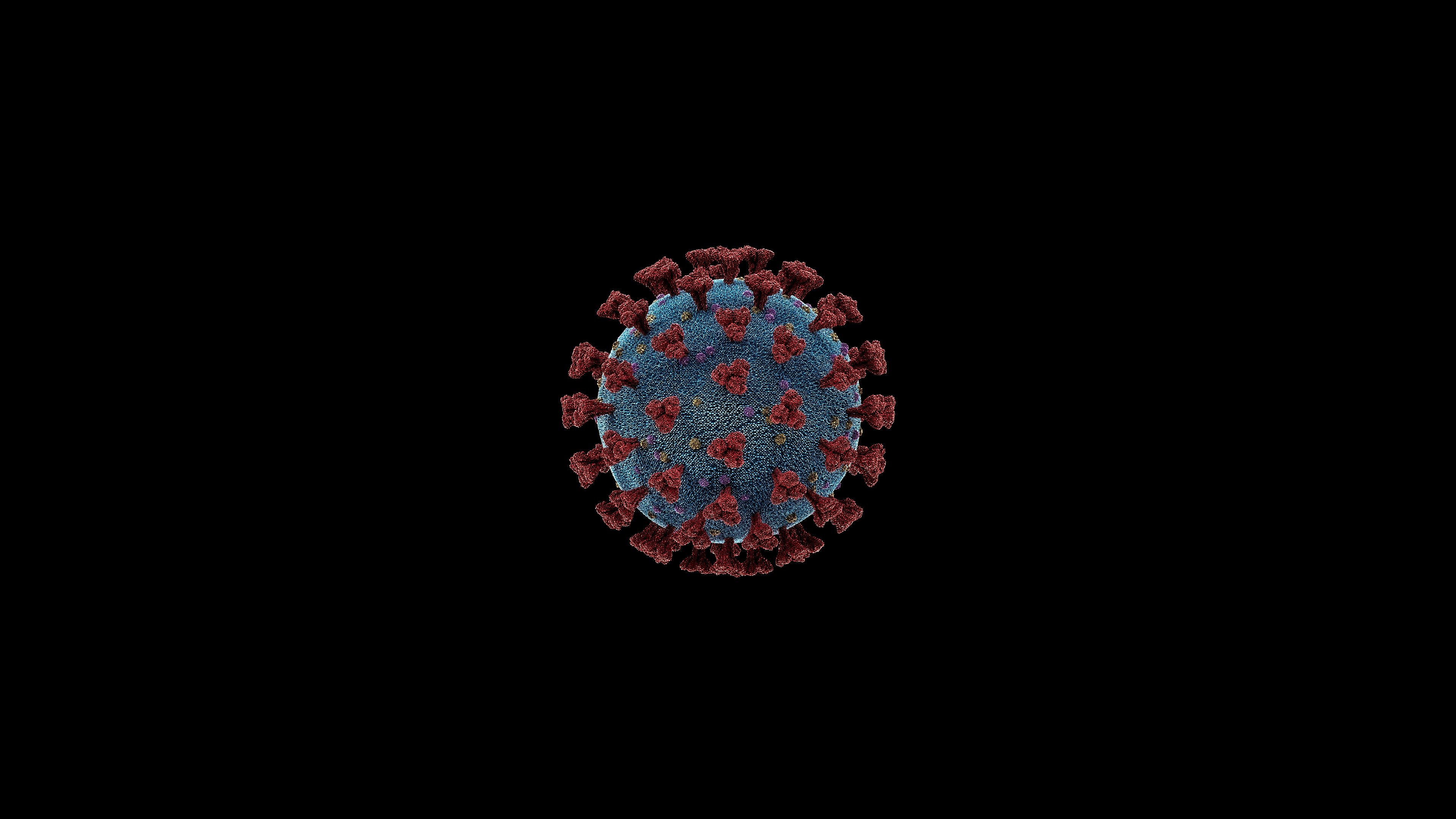 Coronavirus Covid 19 Wallpaper, HD Abstract 4K Wallpaper, Image, Photo and Background