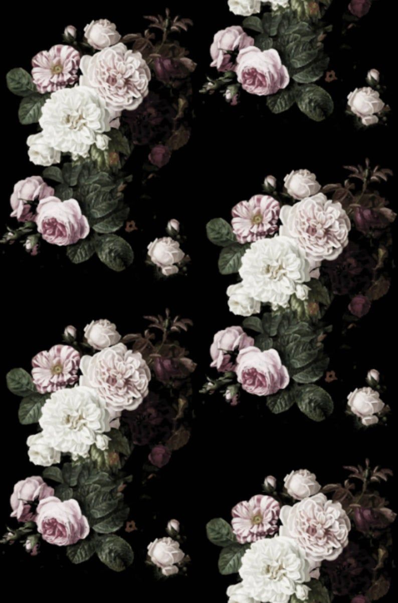 Black Vintage Rose Wallpaper Free Black Vintage Rose Background