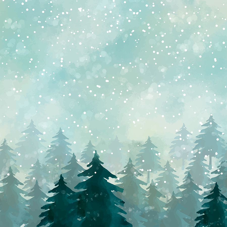 WN001_Winter. Christmas watercolor, Winter drawings, Snowy forest