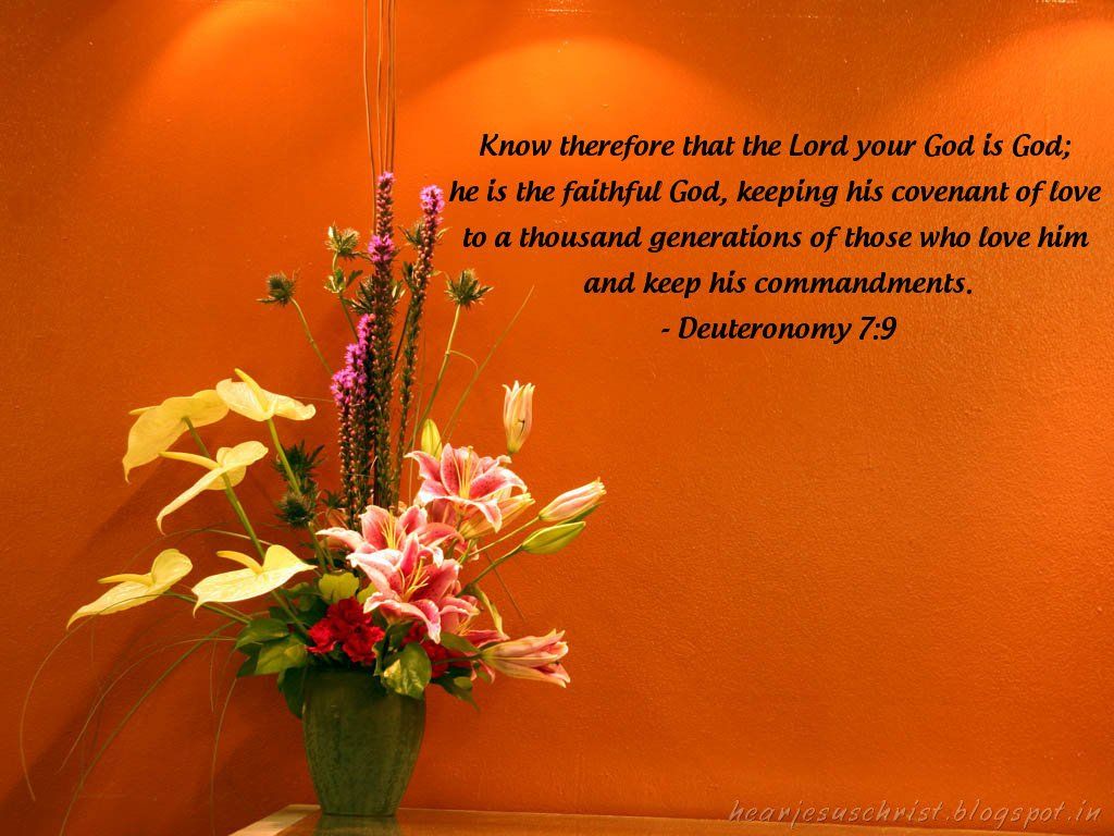 Free download Christian Wallpaper Bible Verse Wallpaper Deuteronomy 79 [1024x768] for your Desktop, Mobile & Tablet. Explore Christian Thanksgiving Wallpaper. Free Thanksgiving Wallpaper, Happy Thanksgiving Wallpaper, Thanksgiving Wallpaper