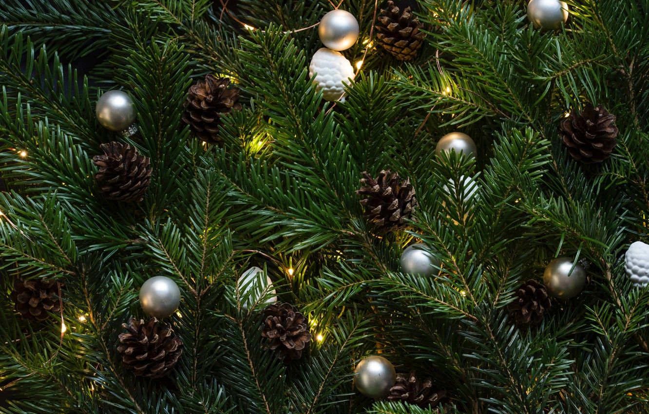 Wallpaper green, christmas tree, christmas lights image for desktop, section новый год