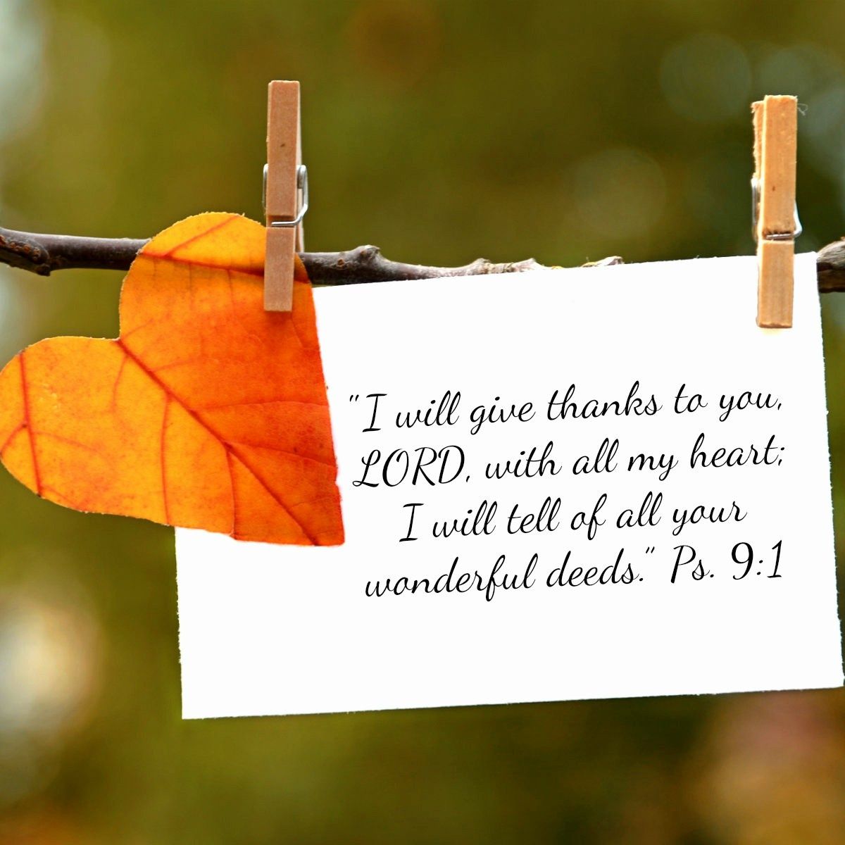 Best Thanksgiving Bible Verses with Image