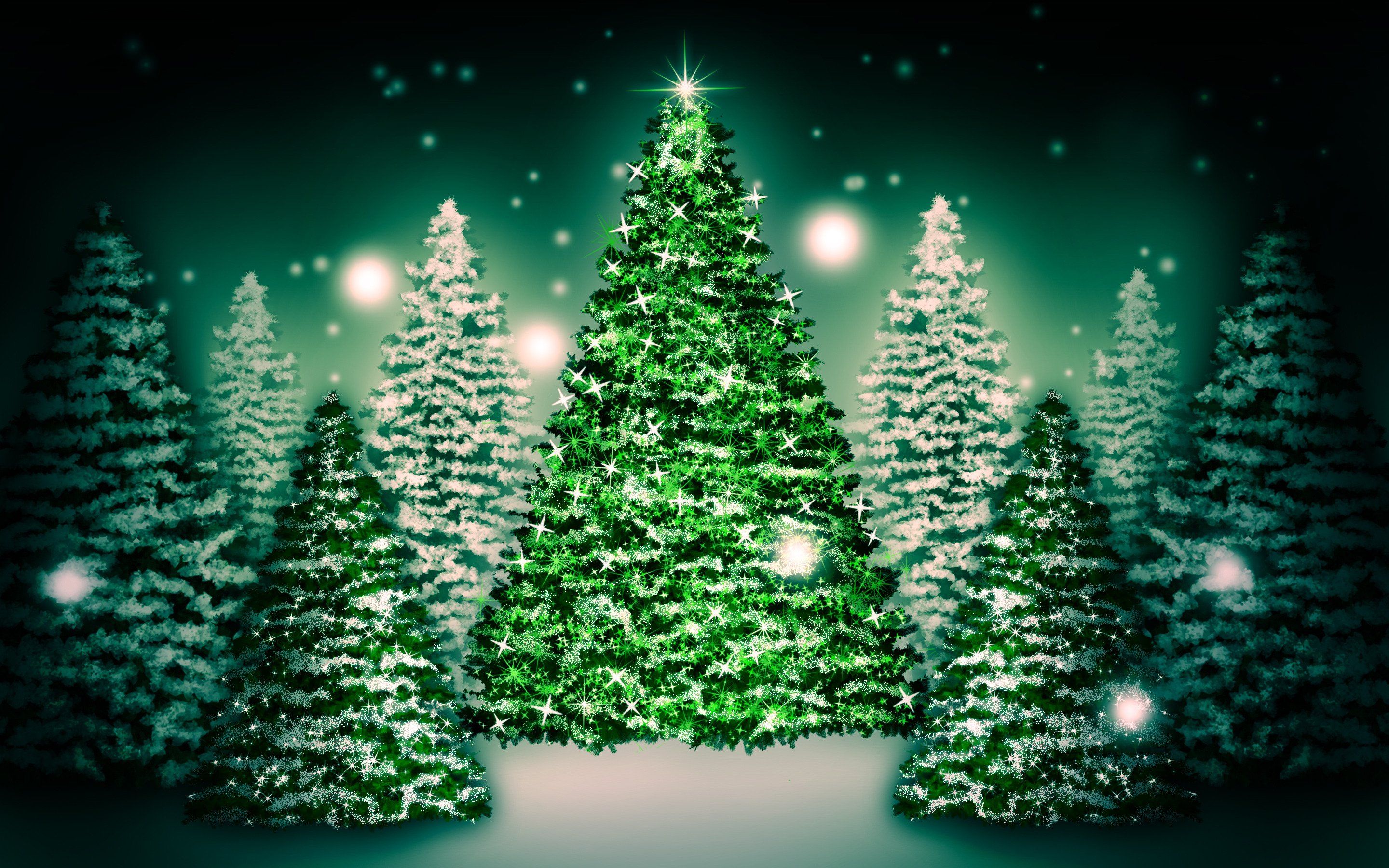 Christmas Trees Wallpaper