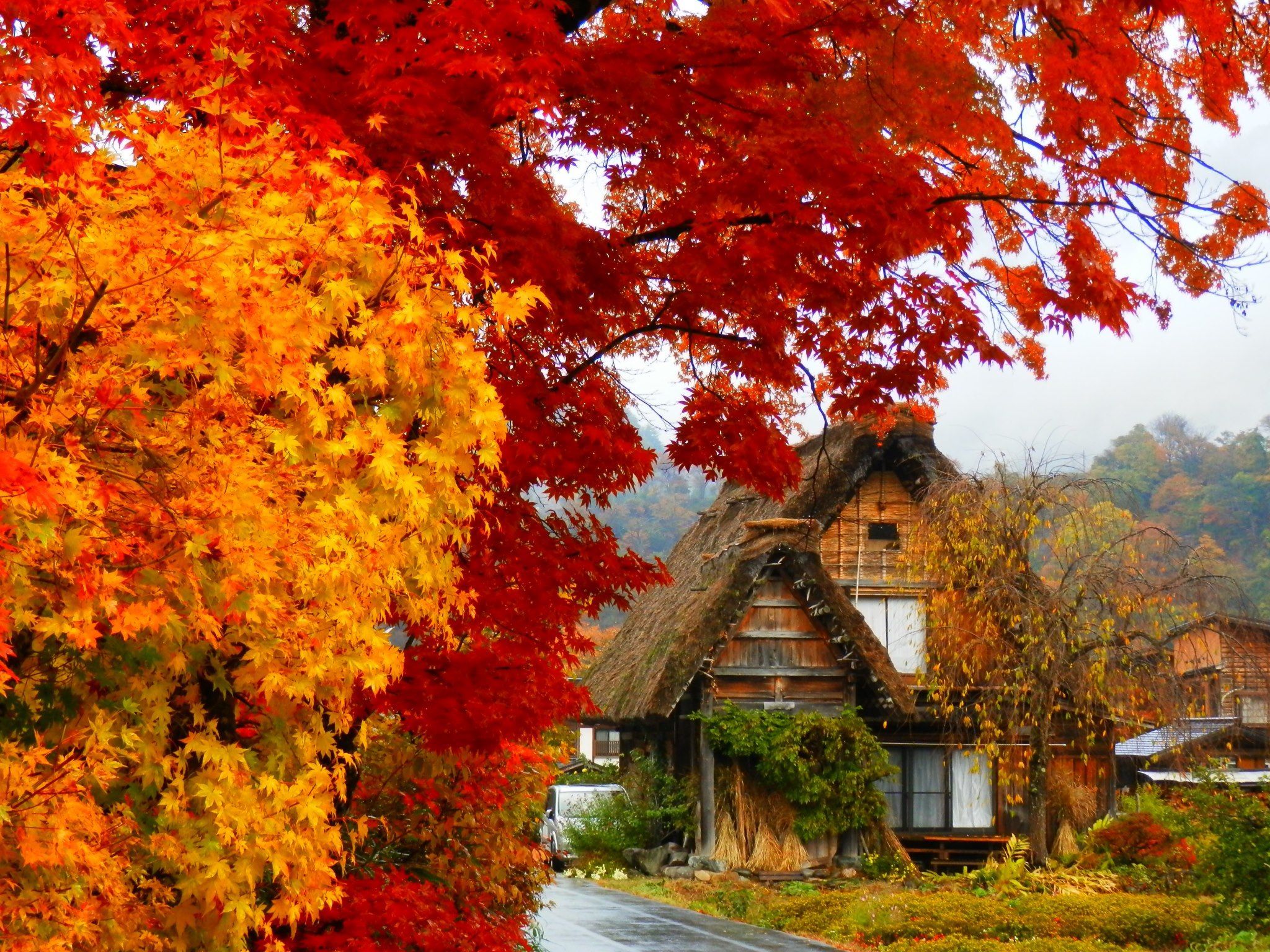 Shirakawago, Japan japonismo.com. Autumn scenery, Autumn scenes, Autumn cozy