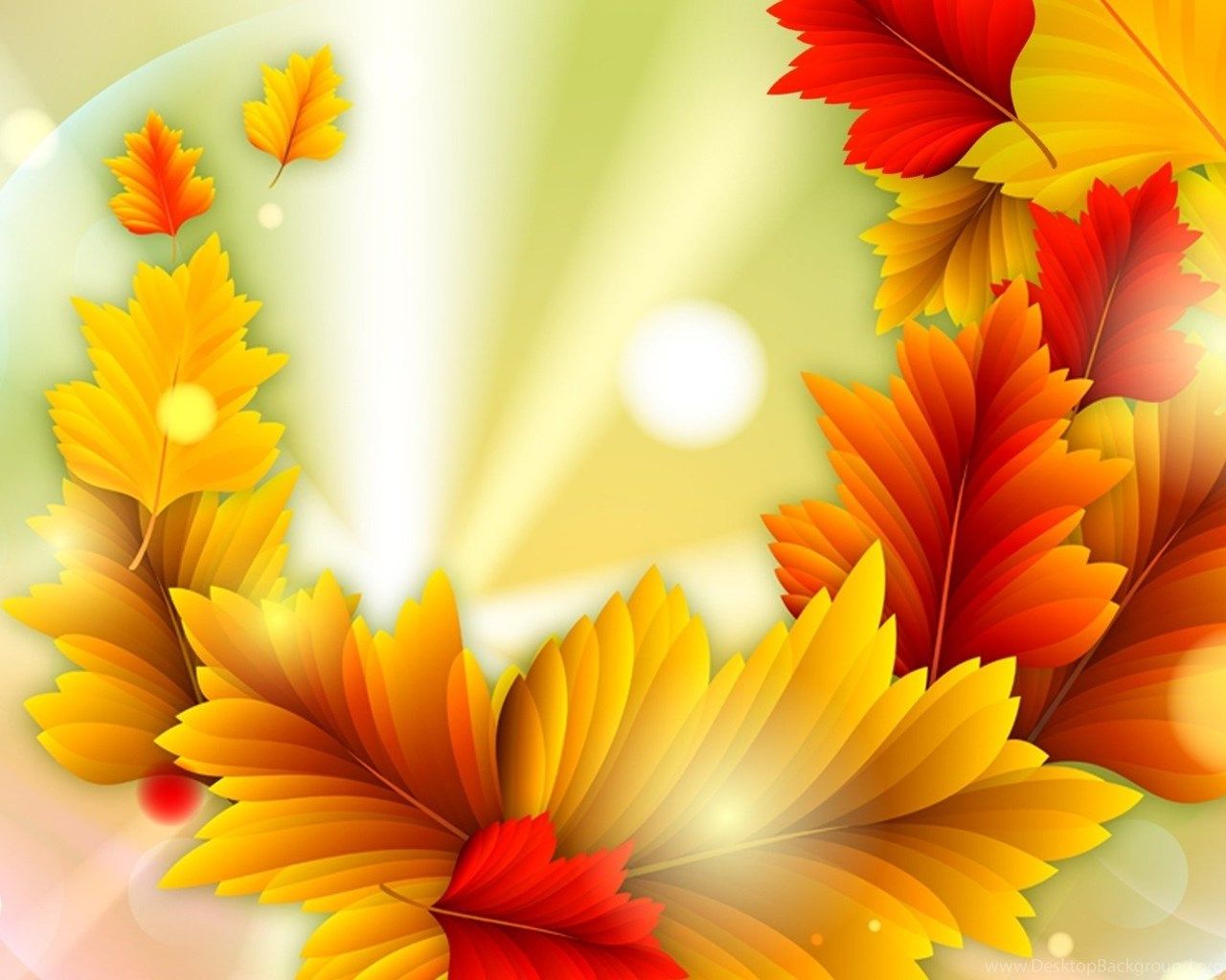 EFA90C Color Wallpaper: Summers Ending Colors Autumn Orange Light. Desktop Background