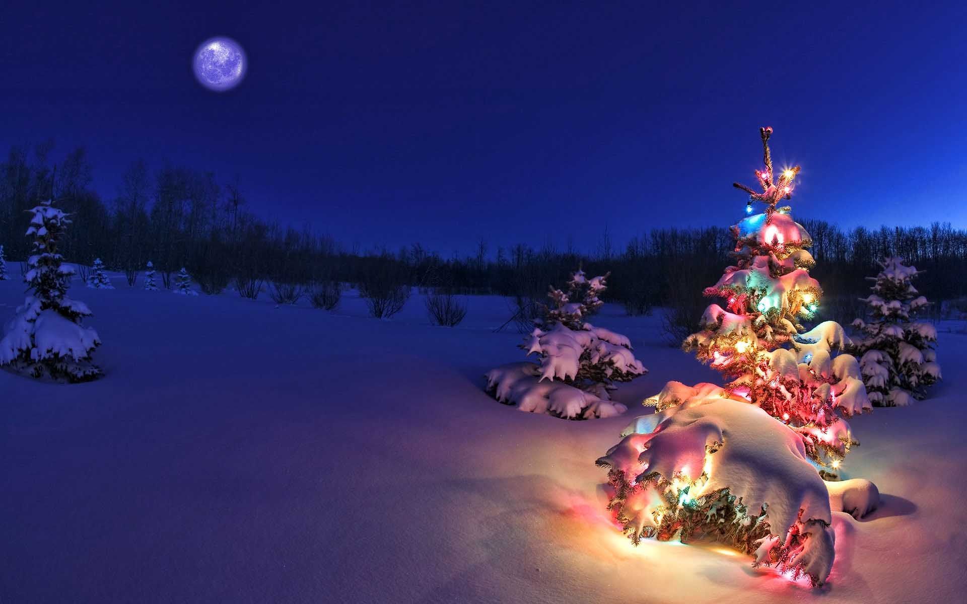 Christmas Tree Landscape Wallpapers - Wallpaper Cave