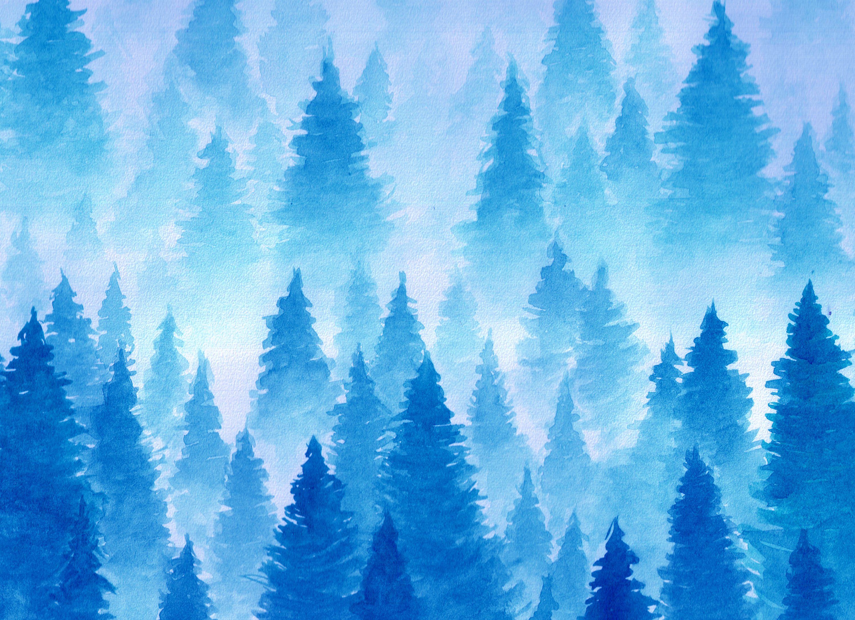 Foggy Forest Wallpaper HD Wallpaper