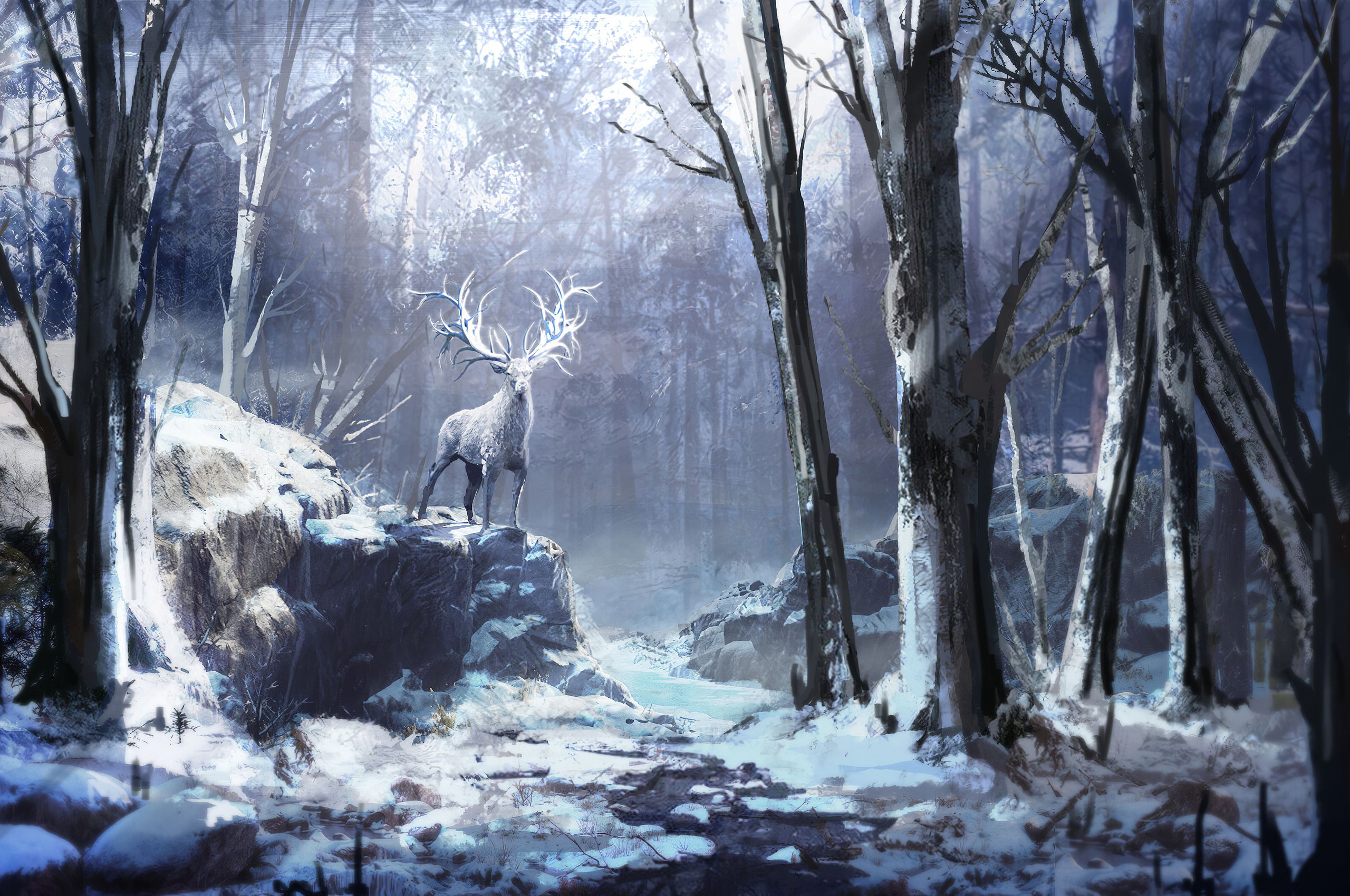 Winter Forest Reindeer 4k Chromebook Pixel HD 4k Wallpaper, Image, Background, Photo and Picture