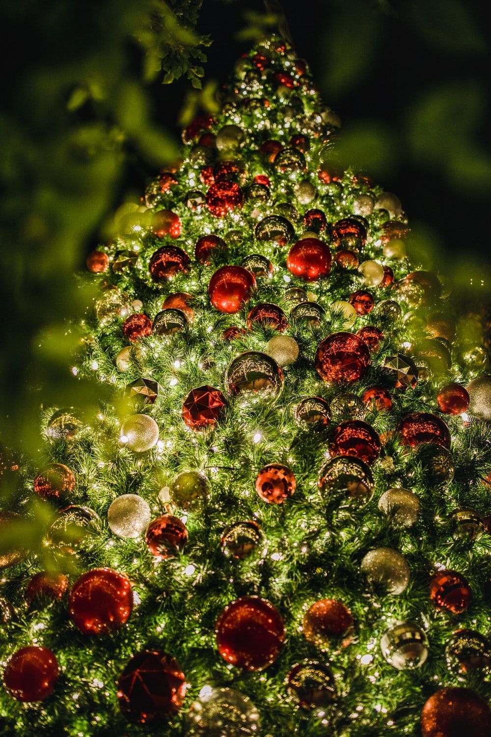 Christmas Tree Picture [HQ]. Download Free Image