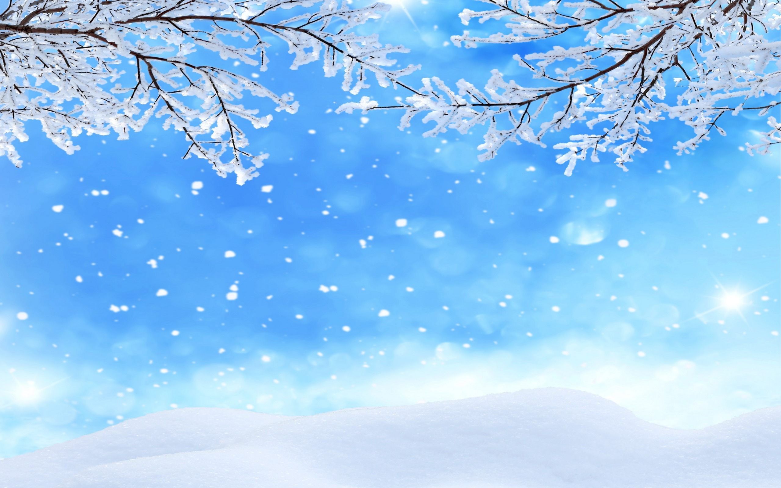 Free download winter background snowflakes wallpaper Wackyface Photobooth [2560x1600] for your Desktop, Mobile & Tablet. Explore Winter Background Pics. Free Winter Scene Wallpaper, Free Winter Snow Scenes Wallpaper