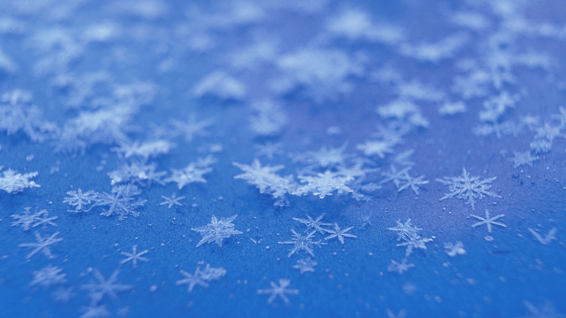 Free Desktop Snowflake Wallpaper HD. Snowflake wallpaper, Winter background, Snowflakes