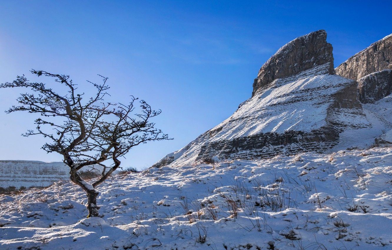 Wallpaper winter, the sky, the sun, snow, stones, tree, rocks, Ireland, Eagles Rock image for desktop, section природа
