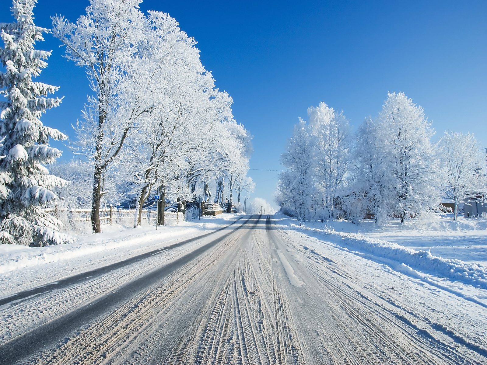 First Winter Snow wallpaper. Immagini invernali, Paesaggi, Progettazione di giardini