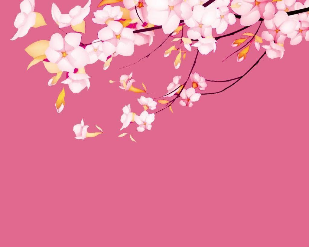Sakura Flower Wallpaper FREE Picture