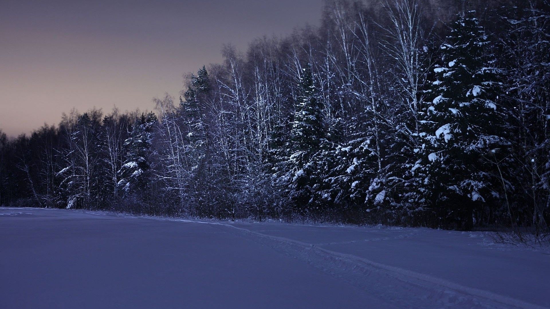 Download Wallpaper Field, Trees, Snow, Winter, Night Night Background HD