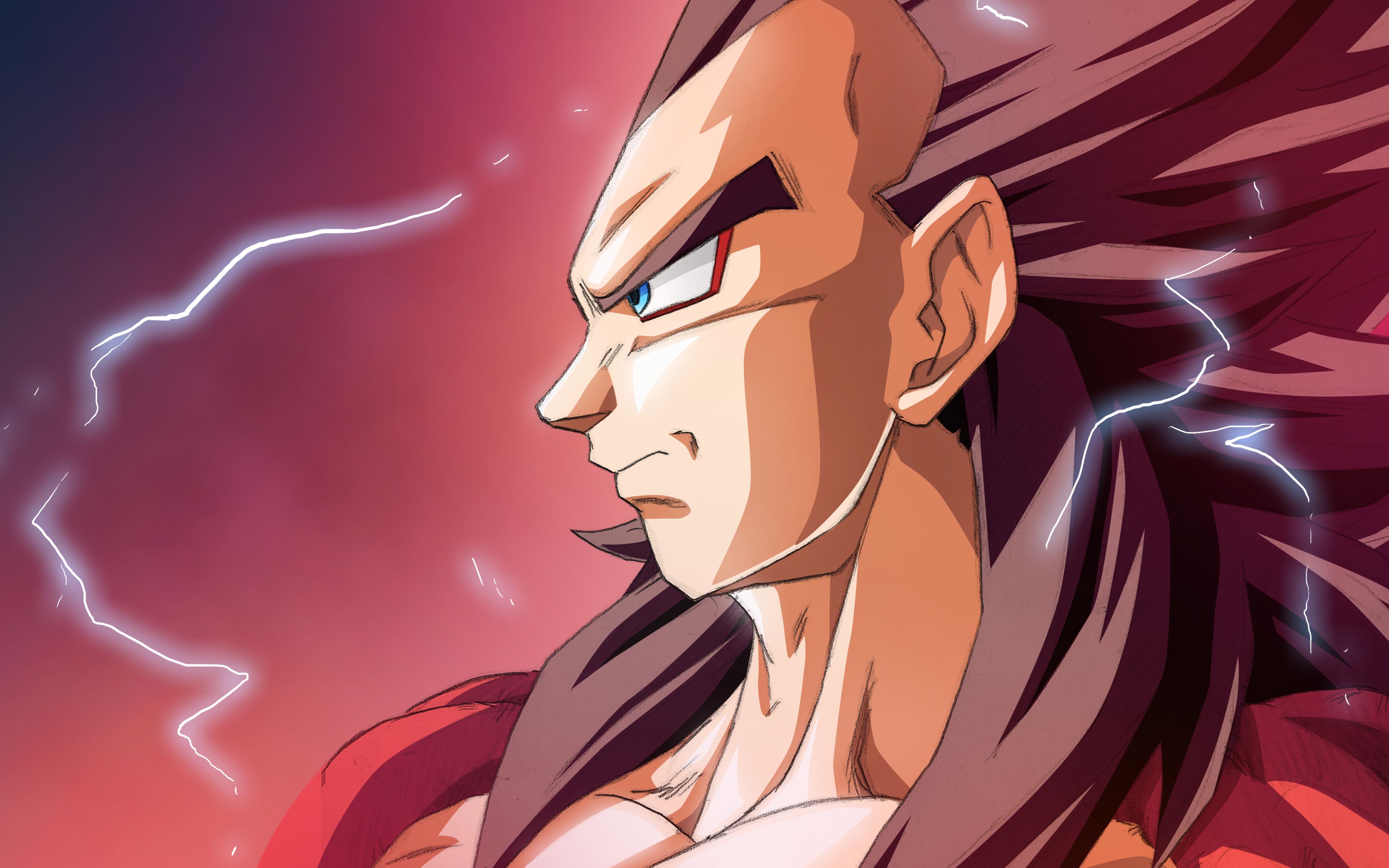 Download wallpaper 4k, Vegeta, fan art, profile, Dragon Ball Z, manga, DBZ, Dragon Ball for desktop with resolution 3840x2400. High Quality HD picture wallpaper