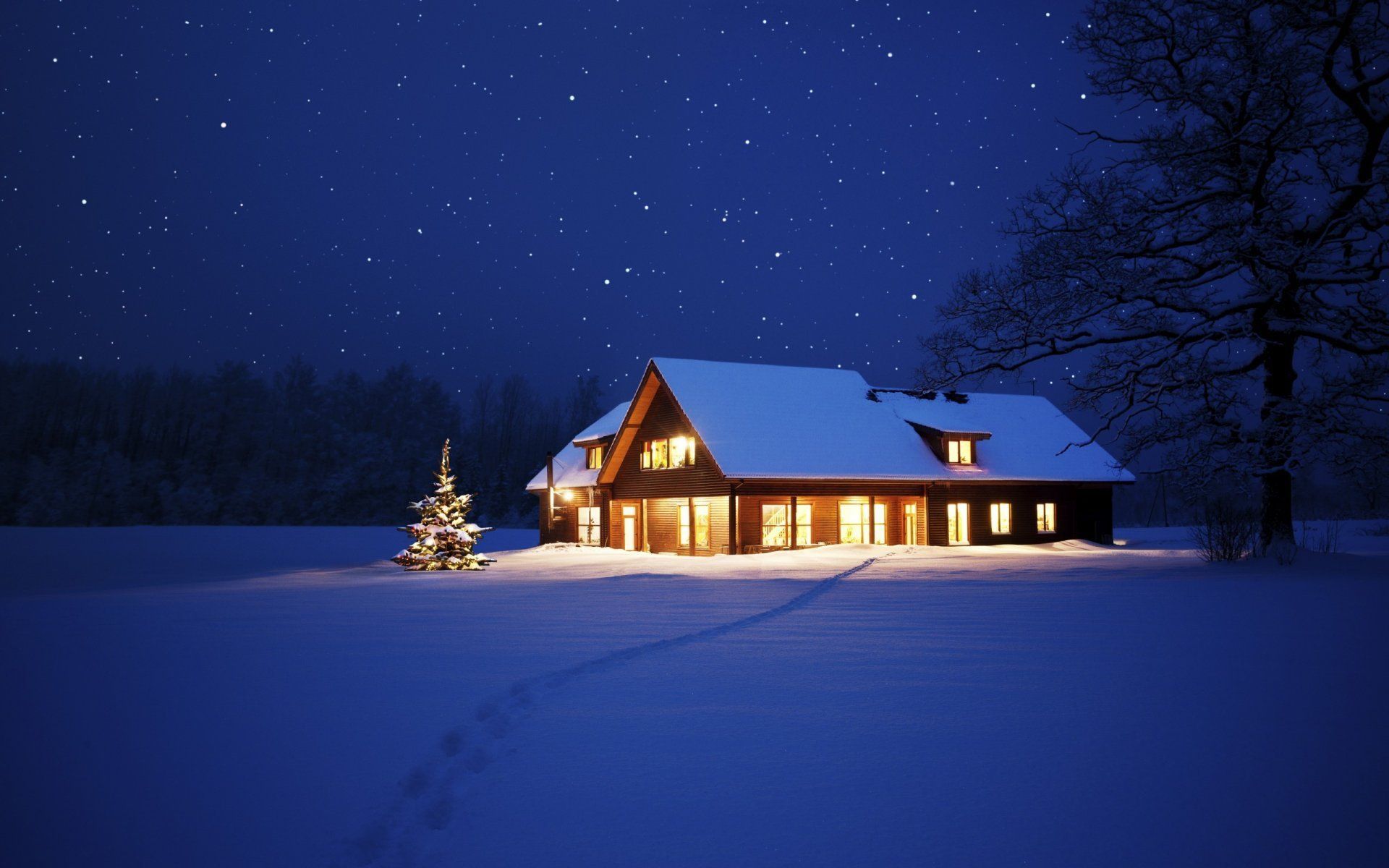 Winter House Night Christmas New Year Christmas. Winter House, House In The Woods, House