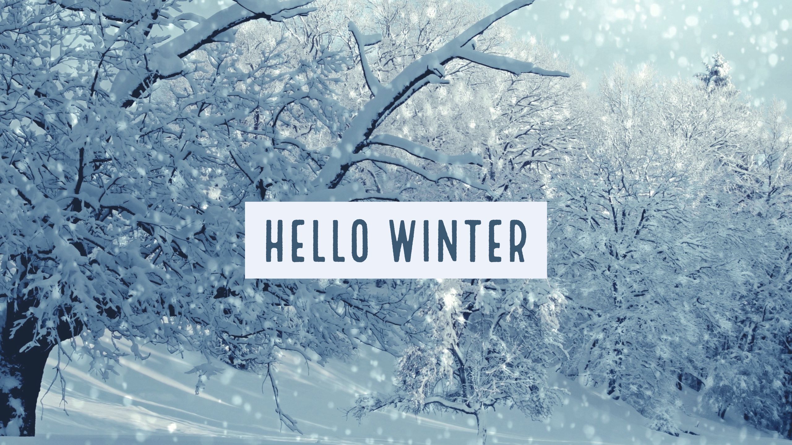 Winter Desktop Wallpaper Tumblr