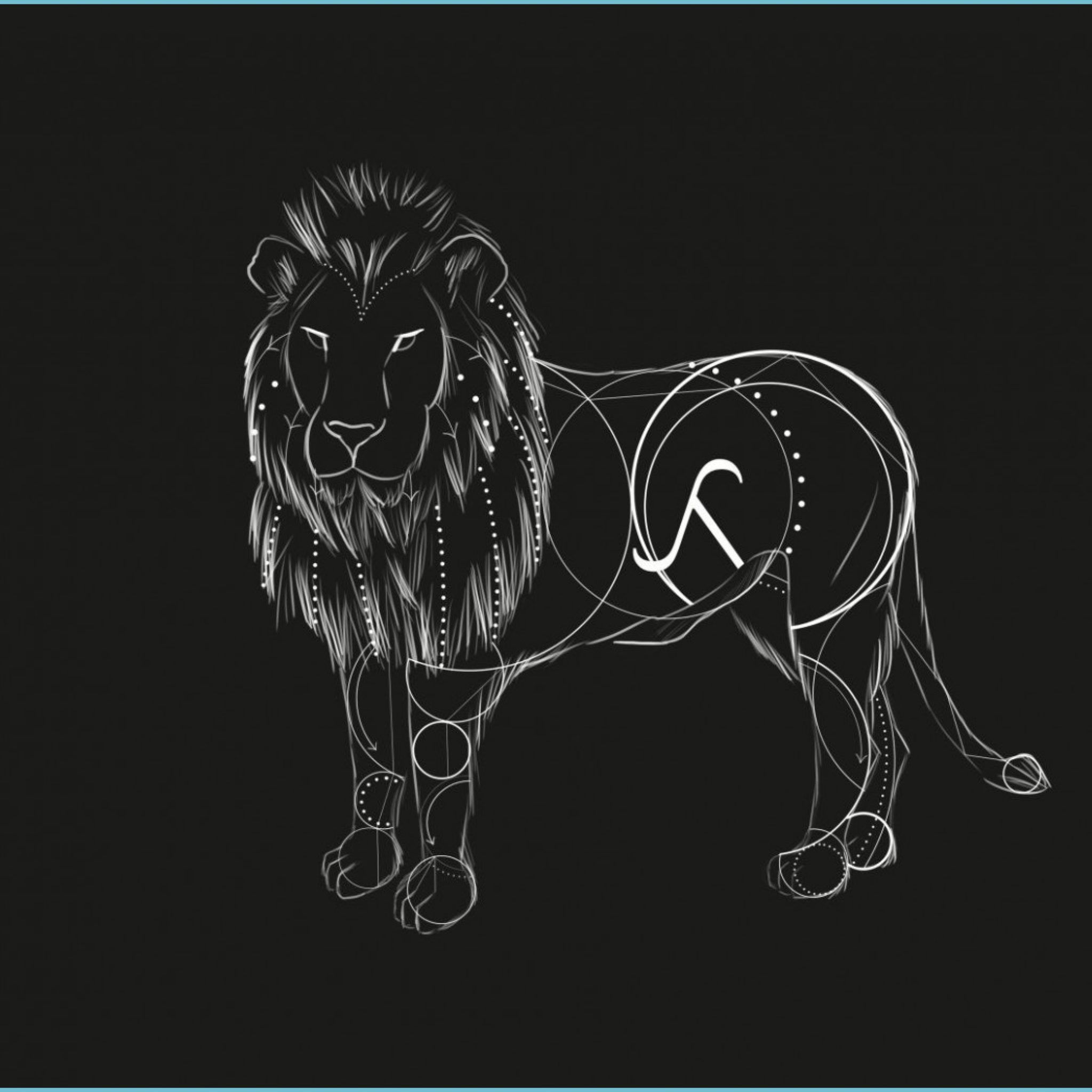 Lion Black and White Wallpaper and white animal wallpaper