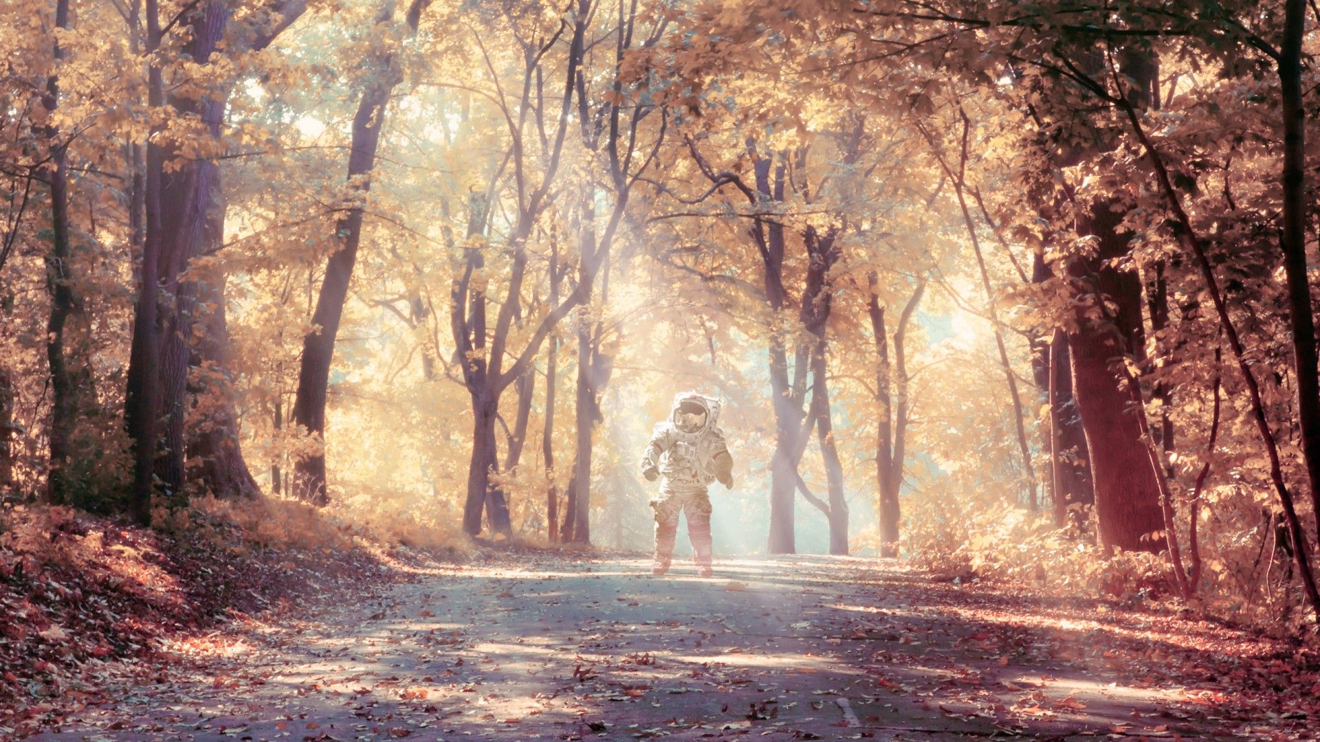 Astronaut in Autumn Wallpaper
