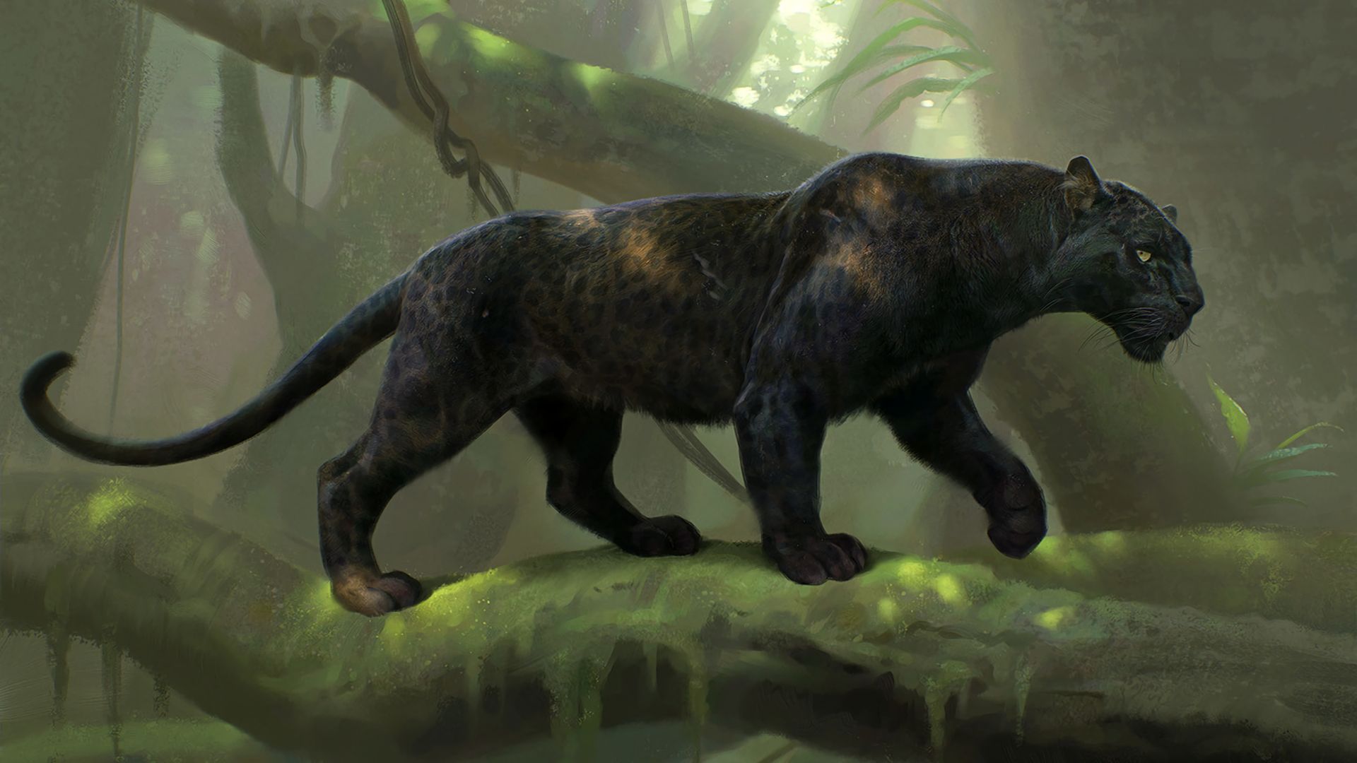 Black Panther Animal HD Wallpaper Panther Animal