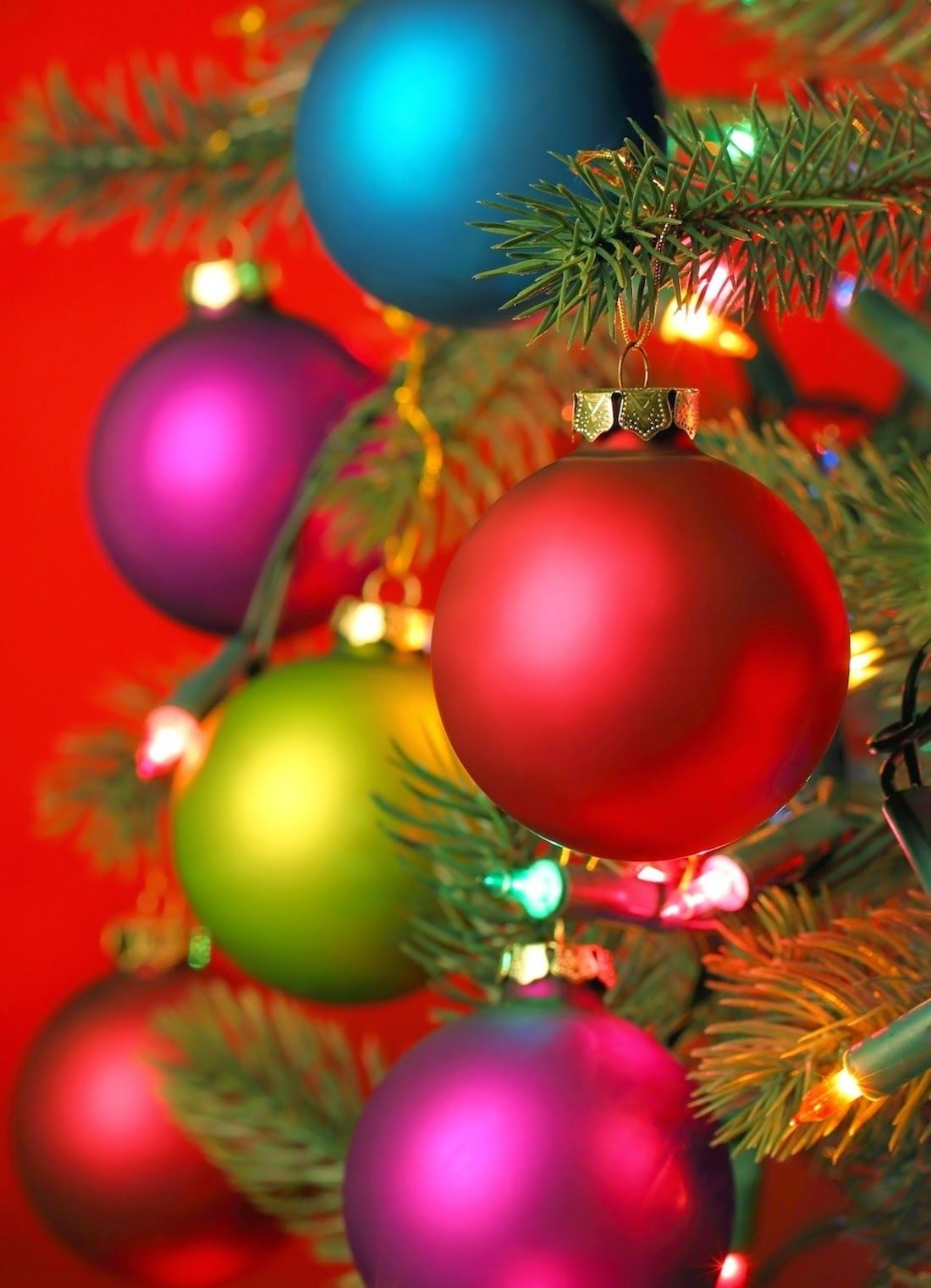 Colorful Christmas Ornaments on Tree. Christmas decorations, Christmas wallpaper, Christmas ornaments