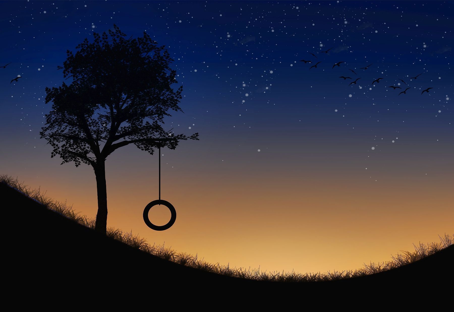 Summer Night Wallpaper Free Summer Night Background