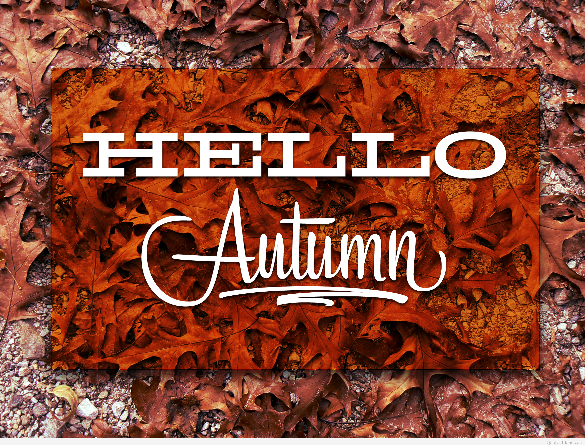 Hello Autumn Wallpaper Free Hello Autumn Background