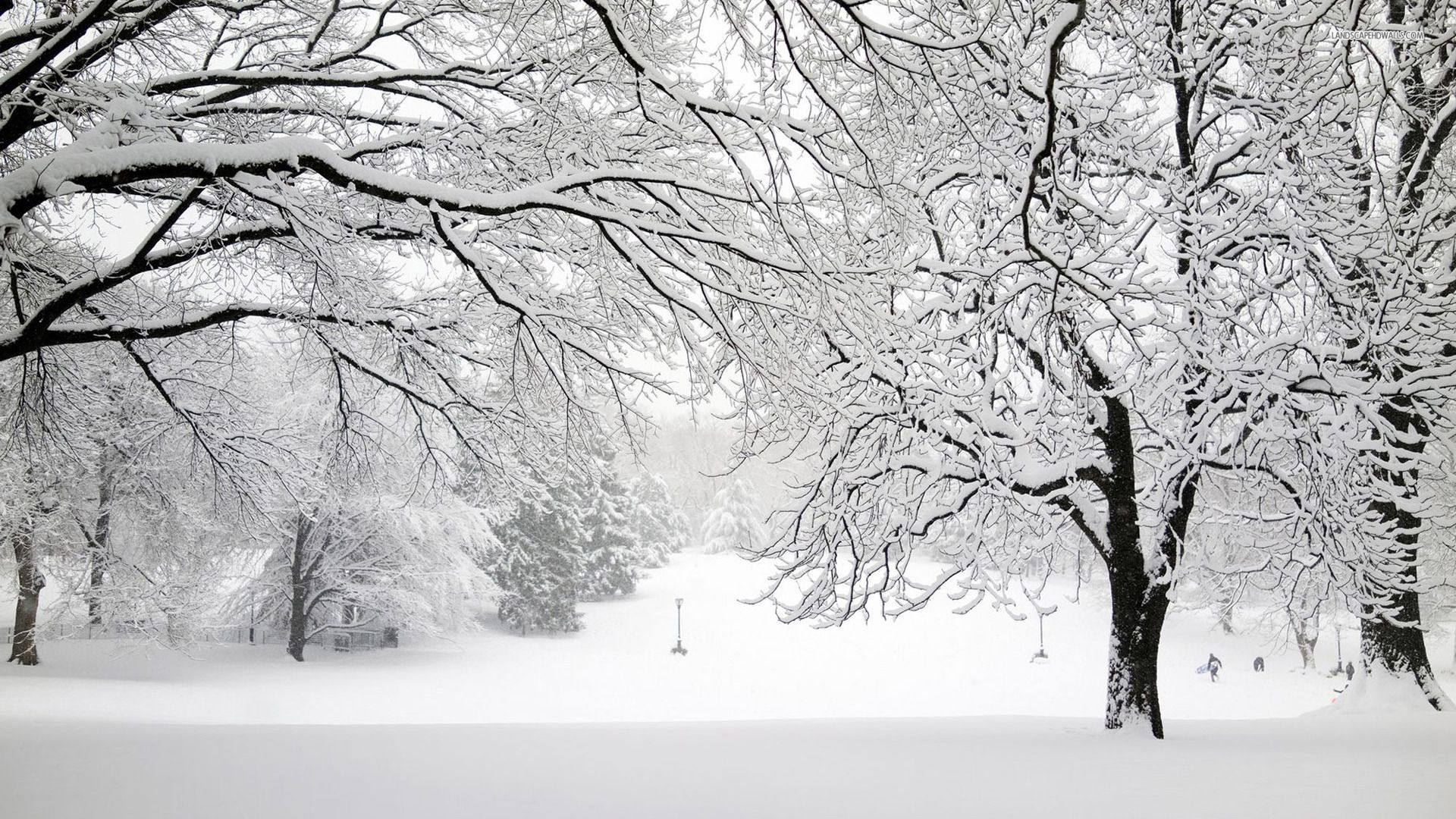 Snow Storm Wallpaper Free Snow Storm Background